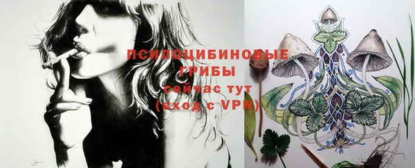 амф Балахна